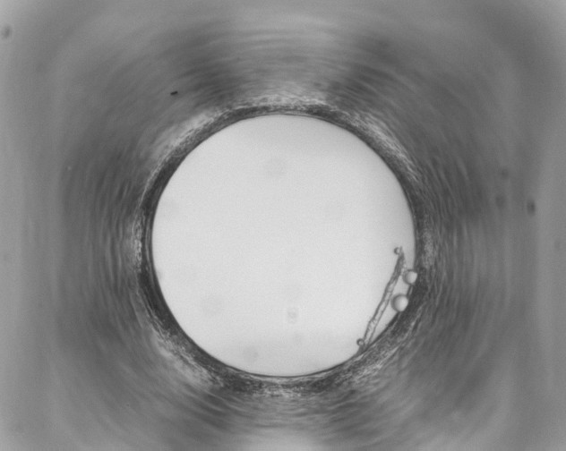 X0000086890632200704161006