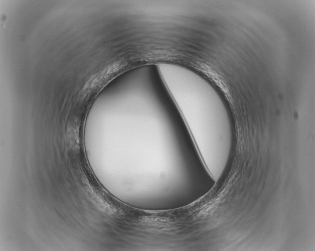 X0000086890633200704161006