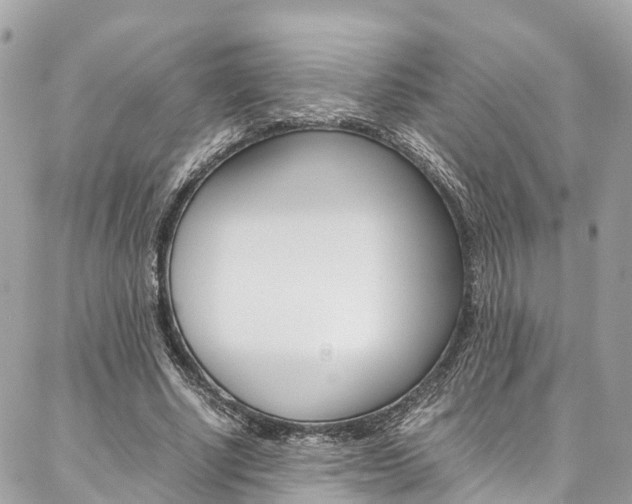 X0000086890634200704161006