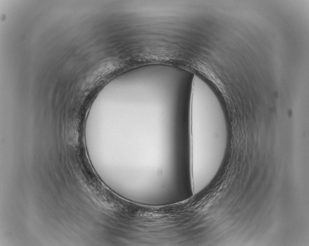 X0000086890635200704161006