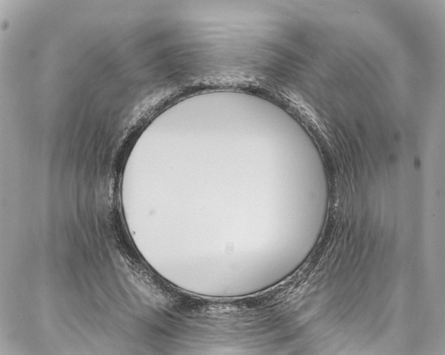 X0000086890636200704161006