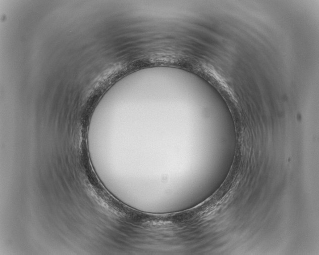 X0000086890637200704161006