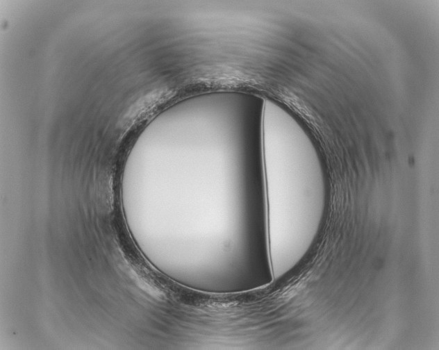 X0000086890638200704161007