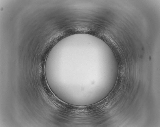 X0000086890639200704161007