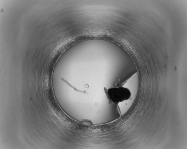 X0000086890640200704161007