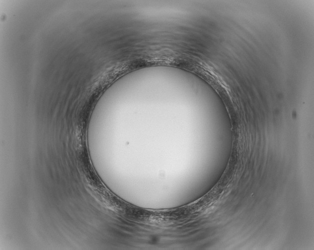 X0000086890641200704161007