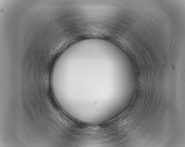 X0000086890642200704161007