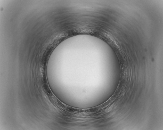 X0000086890643200704161007