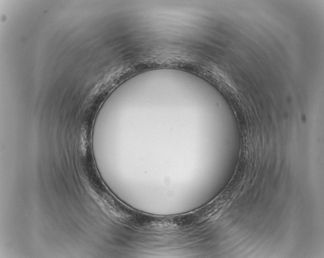 X0000086890644200704161007