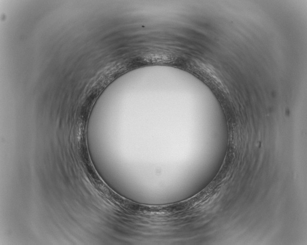 X0000086890645200704161007