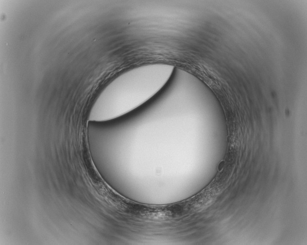 X0000086890646200704161007