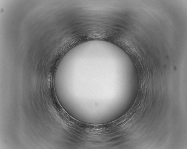 X0000086890647200704161007