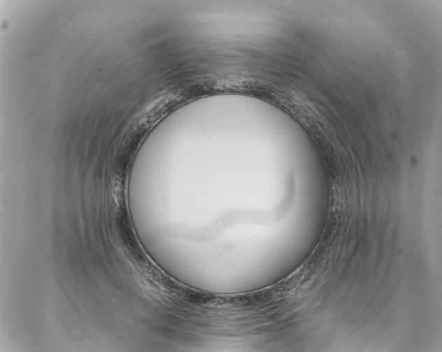 X0000086890648200704161007