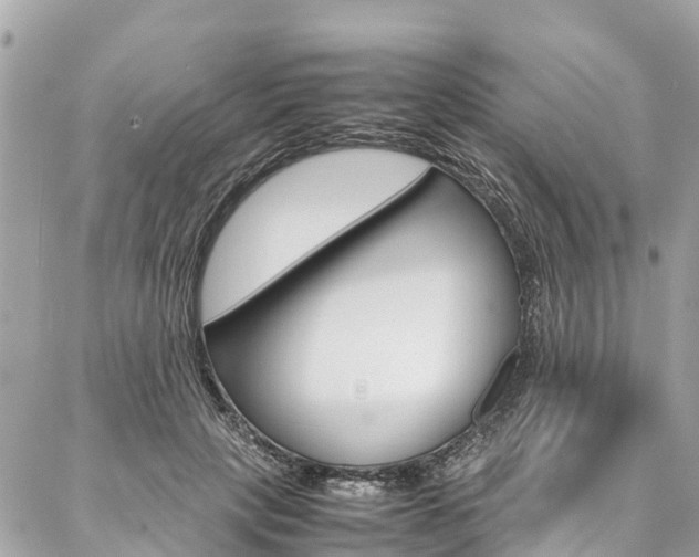 X0000086890649200704161007