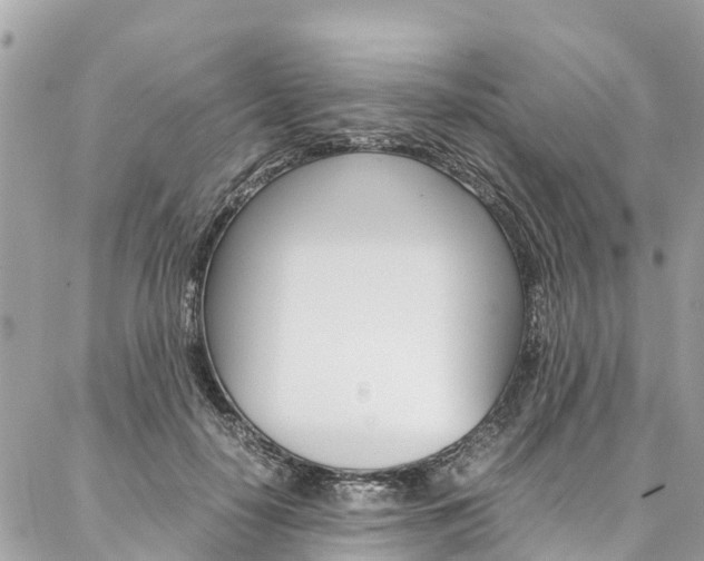 X0000086890650200704161007