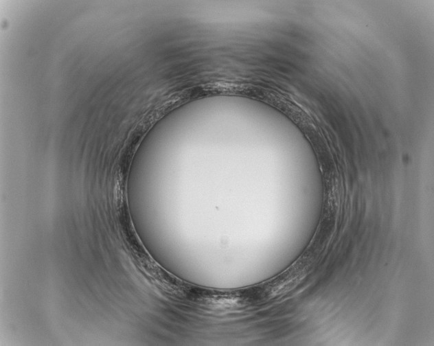 X0000086890651200704161007