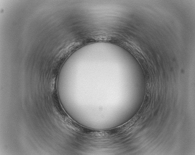 X0000086890652200704161007