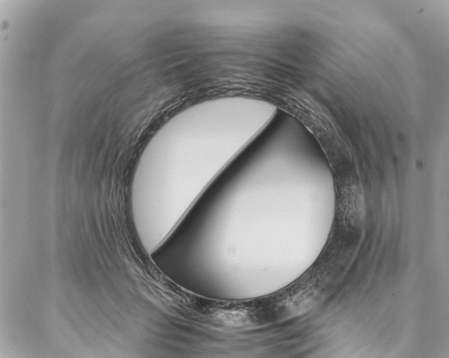 X0000086890653200704161007