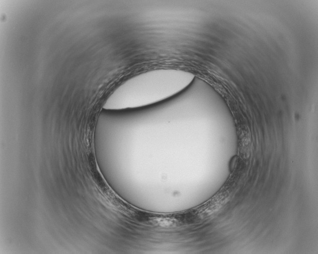 X0000086890654200704161007