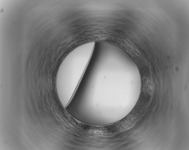 X0000086890655200704161007