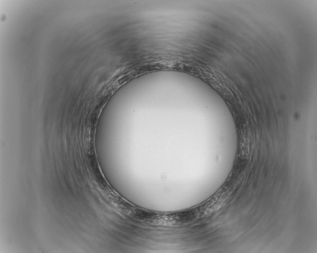 X0000086890656200704161007