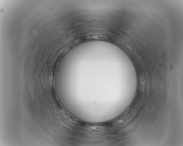 X0000086890657200704161007