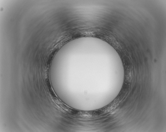 X0000086890658200704161007