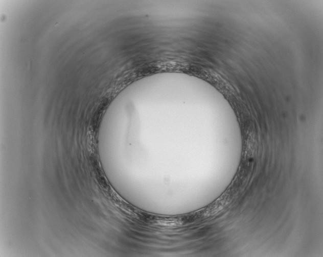 X0000086890659200704161007