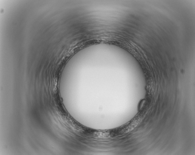 X0000086890660200704161007