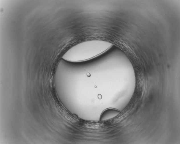 X0000086890661200704161007