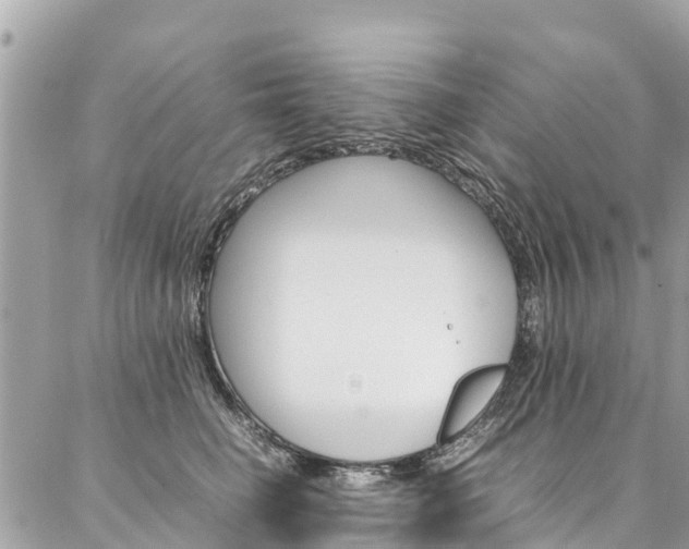 X0000086890662200704161007