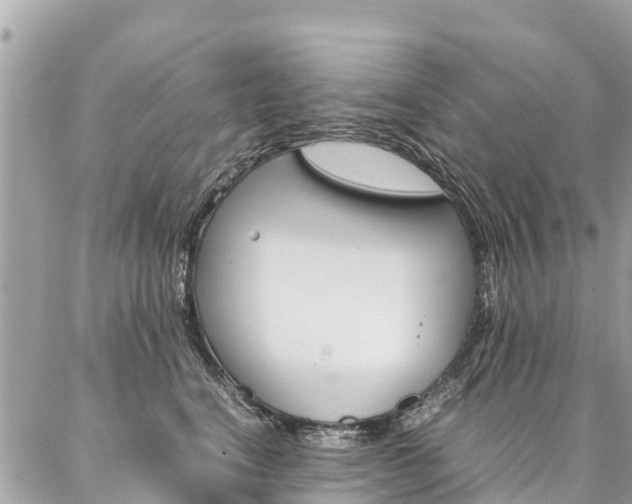 X0000086890664200704161007