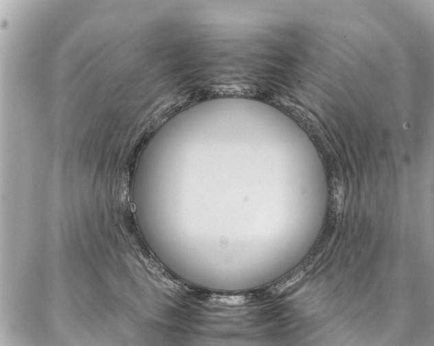 X0000086890665200704161007