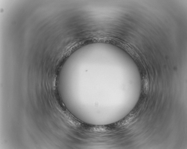 X0000086890668200704161007