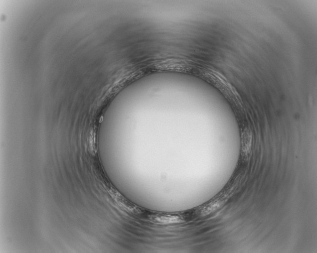 X0000086890669200704161007