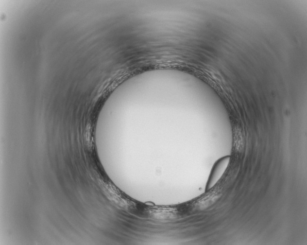 X0000086890670200704161007