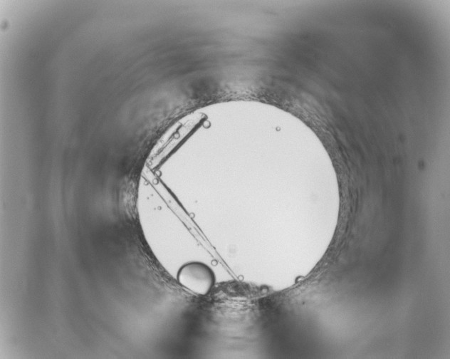 X0000086890672200704161007