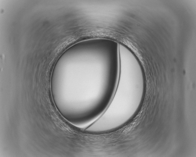 X0000086890673200704161006