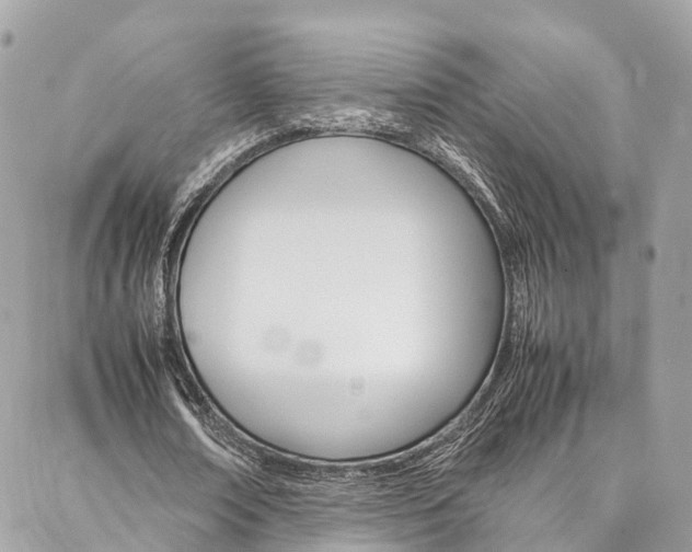 X0000086890674200704161006