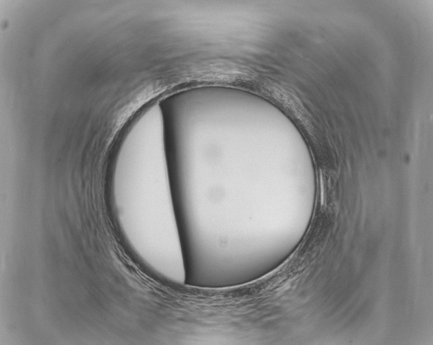 X0000086890675200704161006