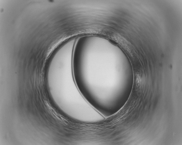 X0000086890676200704161006