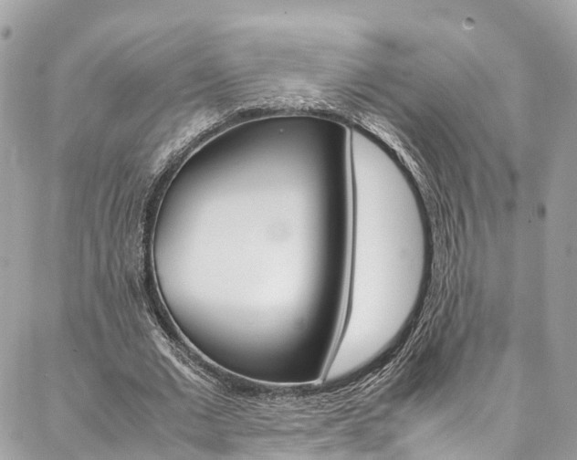 X0000086890677200704161006