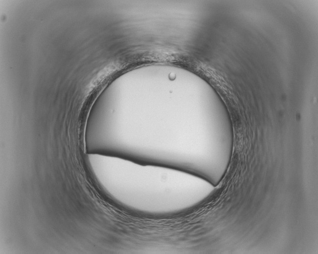 X0000086890679200704161006