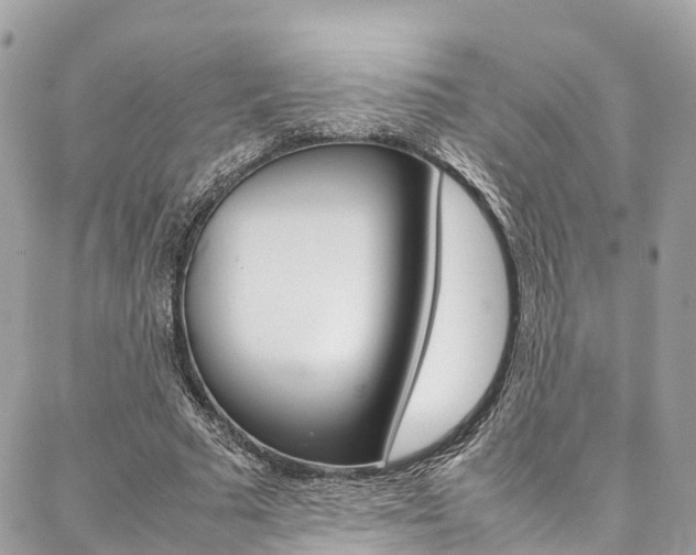 X0000086890681200704161006