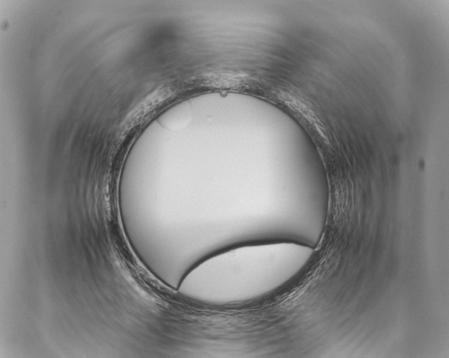 X0000086890682200704161006