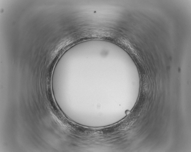 X0000086890683200704161006