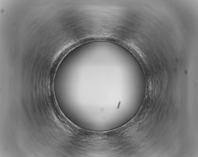 X0000086890684200704161006