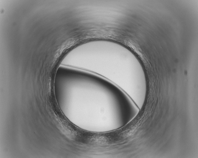 X0000086890685200704161006