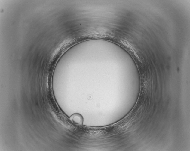 X0000086890686200704161006