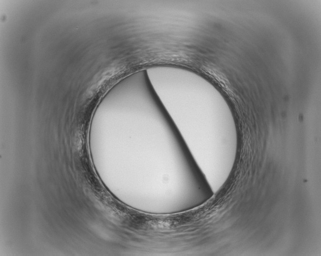 X0000086890687200704161006